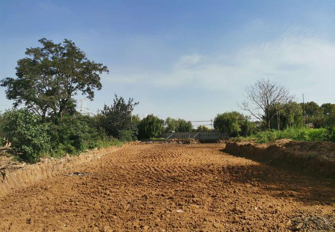 镇政府征收土地并擅自贩卖合法吗？